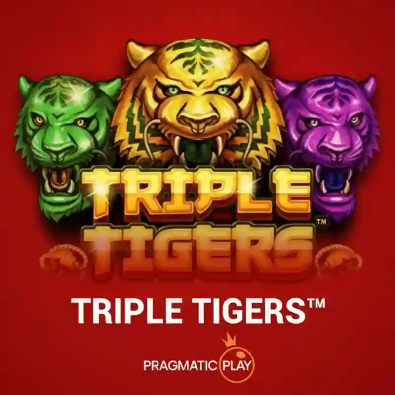 Game Triple Tigers